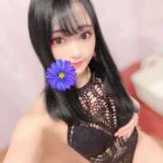 ヒメ日記 2025/08/14 08:01 投稿 スミレ Club Hearts