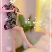 ヒメ日記 2025/11/27 12:31 投稿 東条　れいか 柏OL委員会