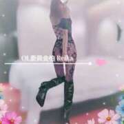 ヒメ日記 2026/02/23 10:07 投稿 東条　れいか 柏OL委員会