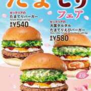 ヒメ日記 2026/02/25 10:00 投稿 東条　れいか 柏OL委員会