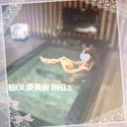 ヒメ日記 2026/03/02 12:01 投稿 東条　れいか 柏OL委員会