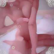 ヒメ日記 2026/03/30 17:20 投稿 東条　れいか 柏OL委員会