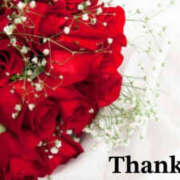 ヒメ日記 2026/04/03 00:00 投稿 東条　れいか 柏OL委員会