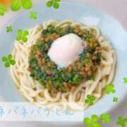 夏さん 今日のご飯 SA～Sanitatem Angelum～癒やしの天使