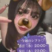 ヒメ日記 2025/01/08 20:29 投稿 まなか パイの巣