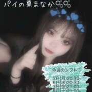 ヒメ日記 2025/02/03 17:37 投稿 まなか パイの巣