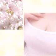 ヒメ日記 2025/04/17 18:02 投稿 しのぶ 熟女の風俗最終章 相模原店