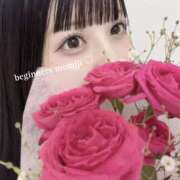 ヒメ日記 2025/03/27 17:35 投稿 もみじ ビギナーズ和歌山