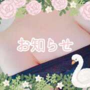 ヒメ日記 2024/12/20 18:27 投稿 藤堂　渚 プルプル人妻専門店