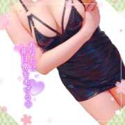 ヒメ日記 2025/02/28 15:15 投稿 藤堂　渚 プルプル人妻専門店