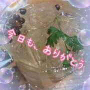 ヒメ日記 2025/03/03 00:35 投稿 藤堂　渚 プルプル人妻専門店