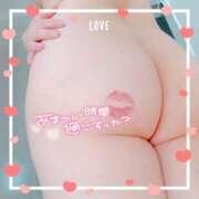 ヒメ日記 2025/03/06 19:01 投稿 藤堂　渚 プルプル人妻専門店