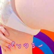 ヒメ日記 2025/03/18 16:45 投稿 藤堂　渚 プルプル人妻専門店