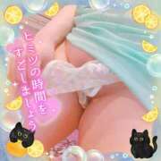 ヒメ日記 2025/04/16 16:30 投稿 藤堂　渚 プルプル人妻専門店