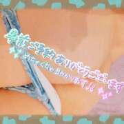 ヒメ日記 2025/05/06 15:46 投稿 藤堂　渚 プルプル人妻専門店