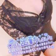 ヒメ日記 2025/05/10 17:02 投稿 藤堂　渚 プルプル人妻専門店