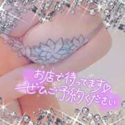 ヒメ日記 2025/05/12 18:30 投稿 藤堂　渚 プルプル人妻専門店