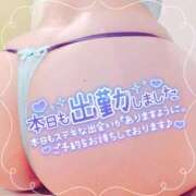 ヒメ日記 2025/05/16 15:30 投稿 藤堂　渚 プルプル人妻専門店