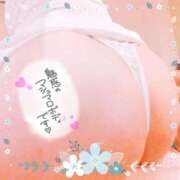 ヒメ日記 2025/05/21 17:30 投稿 藤堂　渚 プルプル人妻専門店