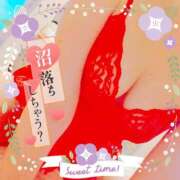 ヒメ日記 2025/05/23 18:31 投稿 藤堂　渚 プルプル人妻専門店