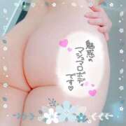 ヒメ日記 2025/05/28 20:32 投稿 藤堂　渚 プルプル人妻専門店