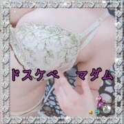 ヒメ日記 2025/06/28 20:01 投稿 藤堂　渚 プルプル人妻専門店