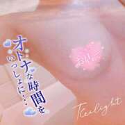 ヒメ日記 2025/08/03 18:02 投稿 藤堂　渚 プルプル人妻専門店