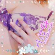 ヒメ日記 2025/08/15 17:01 投稿 藤堂　渚 プルプル人妻専門店