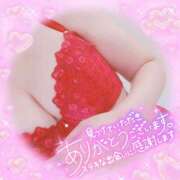 ヒメ日記 2025/08/19 12:02 投稿 藤堂　渚 プルプル人妻専門店