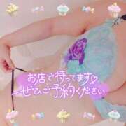 ヒメ日記 2025/08/25 10:01 投稿 藤堂　渚 プルプル人妻専門店