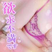 ヒメ日記 2025/09/19 16:30 投稿 藤堂　渚 プルプル人妻専門店