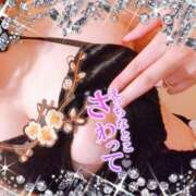 ヒメ日記 2025/09/21 20:01 投稿 藤堂　渚 プルプル人妻専門店