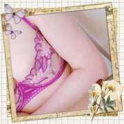 ヒメ日記 2025/10/26 17:01 投稿 藤堂　渚 プルプル人妻専門店