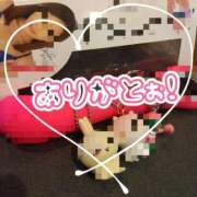 ヒメ日記 2025/11/04 12:44 投稿 藤堂　渚 プルプル人妻専門店