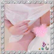 ヒメ日記 2025/11/11 19:01 投稿 藤堂　渚 プルプル人妻専門店