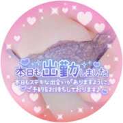 ヒメ日記 2025/11/13 15:30 投稿 藤堂　渚 プルプル人妻専門店