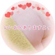 ヒメ日記 2025/11/13 17:30 投稿 藤堂　渚 プルプル人妻専門店