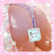 ヒメ日記 2025/11/19 18:02 投稿 藤堂　渚 プルプル人妻専門店