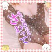 ヒメ日記 2025/11/20 19:02 投稿 藤堂　渚 プルプル人妻専門店