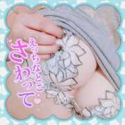 ヒメ日記 2025/11/24 09:45 投稿 藤堂　渚 プルプル人妻専門店