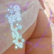 ヒメ日記 2025/12/10 18:02 投稿 藤堂　渚 プルプル人妻専門店