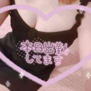 ヒメ日記 2026/01/22 16:01 投稿 藤堂　渚 プルプル人妻専門店