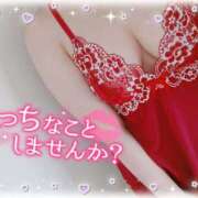 ヒメ日記 2026/02/03 16:01 投稿 藤堂　渚 プルプル人妻専門店