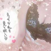 ヒメ日記 2026/02/15 21:30 投稿 藤堂　渚 プルプル人妻専門店