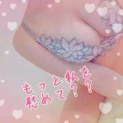 ヒメ日記 2026/02/23 16:30 投稿 藤堂　渚 プルプル人妻専門店