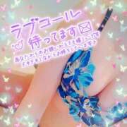 ヒメ日記 2026/02/24 16:01 投稿 藤堂　渚 プルプル人妻専門店