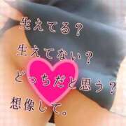 ヒメ日記 2026/04/08 17:01 投稿 藤堂　渚 プルプル人妻専門店
