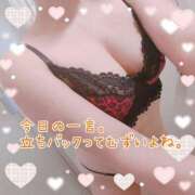 ヒメ日記 2026/09/20 17:04 投稿 藤堂　渚 プルプル人妻専門店