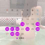 ヒメ日記 2025/04/16 19:52 投稿 ななみ ごほうびSPA 大阪店