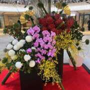 ヒメ日記 2025/01/02 13:36 投稿 ココナ 月兎（GET）